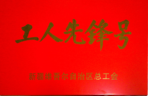 1556591480110303.jpg G575ÍÁ½¨¶þ±êÏîĿϲ»ñн®Î¬Îá¶û×ÔÖÎÇø¡°¹¤ÈËÏÈ·æºÅ¡±ÉùÓþ³Æºô3.jpg