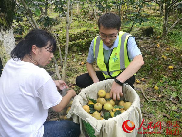 PA����|�й�������PlayAce